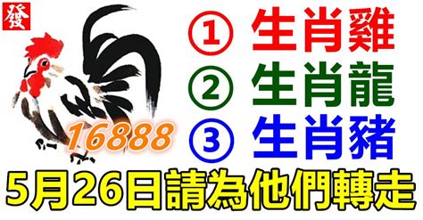 龍雞配|【屬雞配龍風水學】專屬生肖雞的人的風水 